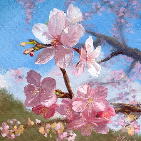 Cherry blossoms 21, 2